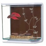 Akwarium marina betta contemporary 3 l 13412