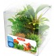 Zolux dekoracja roślinna pudełko mix 6 szt zestaw 2