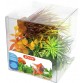 Zolux dekoracja roślinna pudełko mix 6 szt zestaw 3